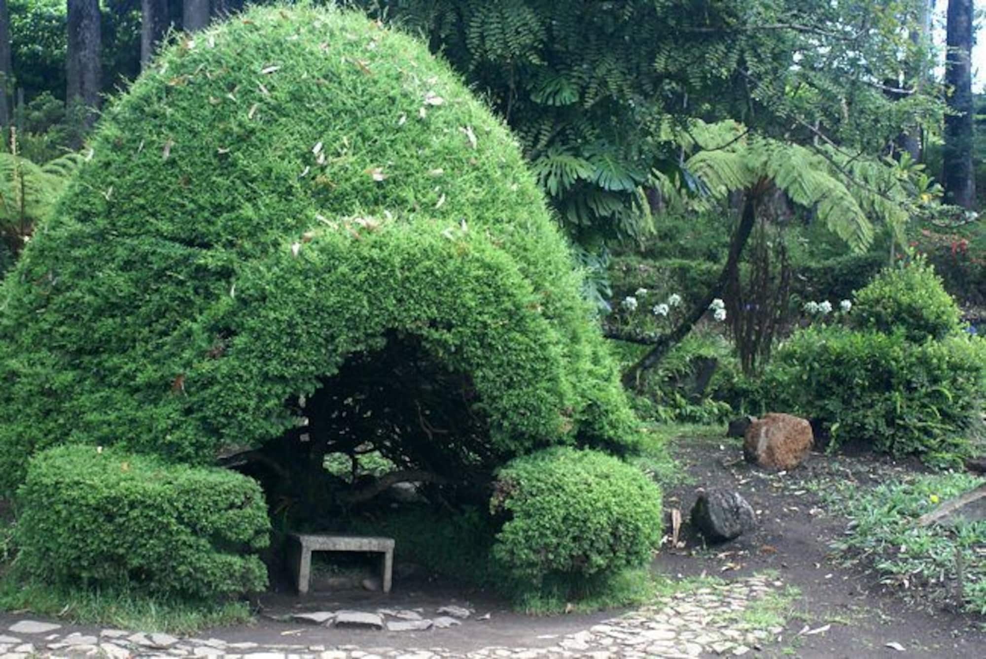 Casablanka Rest Guest House Nanu Oya Bagian luar foto
