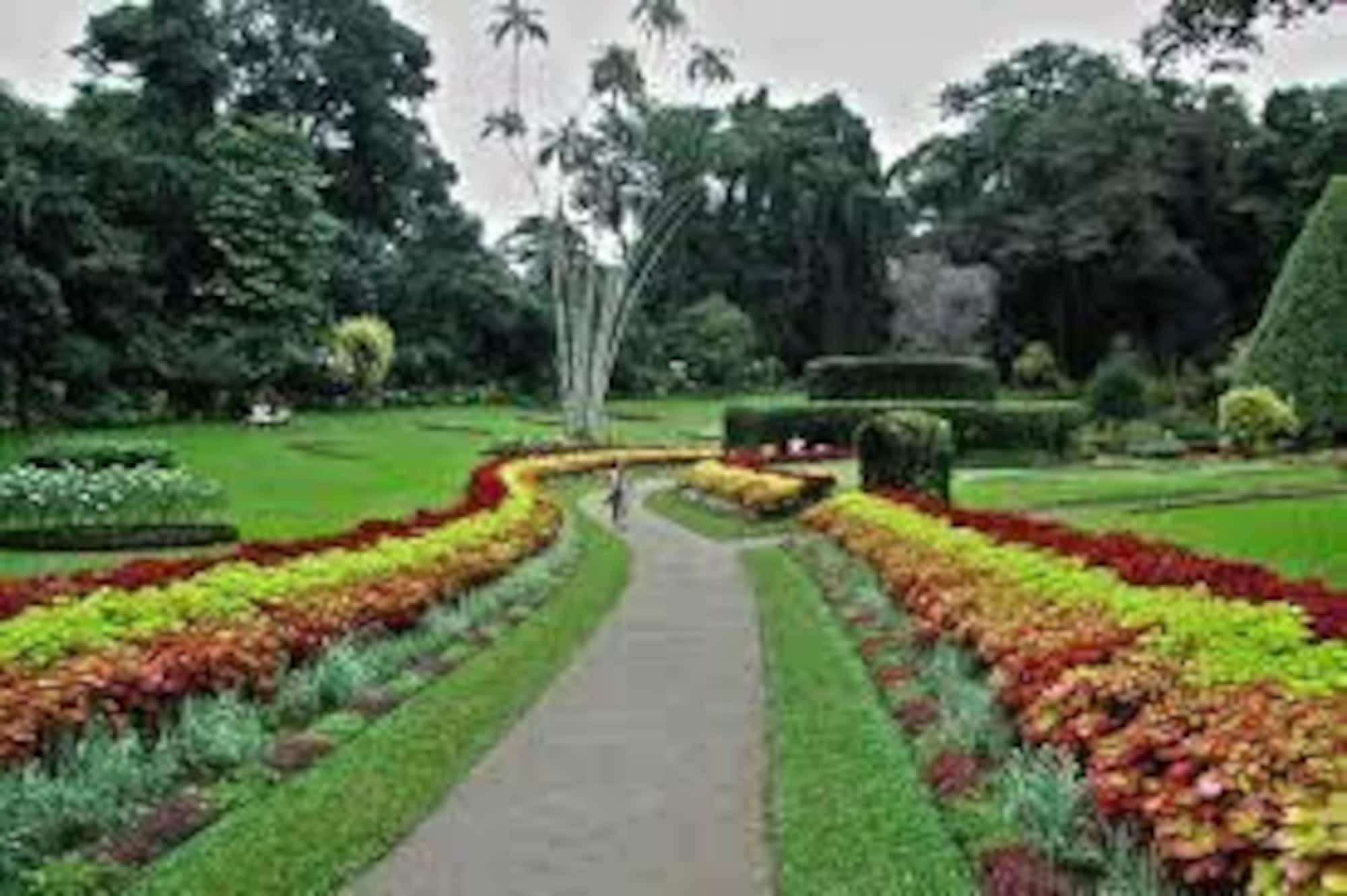 Casablanka Rest Guest House Nanu Oya Bagian luar foto